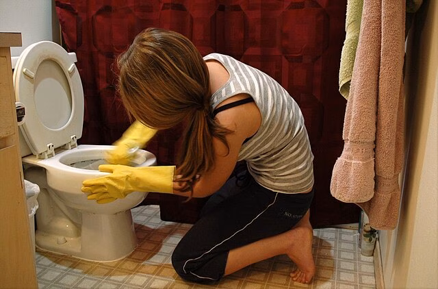 Illustration of the problem FlushCleanse solves